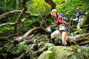 BIB: 
                            <button type="button" onclick="openModal(19407352)" class="btn btn-primary btn-sm float-right btn-popup" data-toggle="modal" data-target=".modal-high-quality">
                        <i class="fas fa-shopping-cart"></i> Add to Cart
                    </button>
                                            <button type="button" onclick="isThisMe(19407352, true)" class="btn btn-success btn-sm float-right btn-popup btn-isme hidden" data-toggle="tooltip" data-placement="bottom" title="นี่คือรูปของคุณใช่ไหม คลิกที่นี่เพื่อเอาเข้าอัลบั้ม">
                        <i class="fas fa-plus"></i> Add to album
                    </button>
                    <button type="button" onclick="isThisMe(19407352, false)" class="btn btn-warning btn-sm float-right btn-popup btn-isnotme hidden">
                        <i class="fas fa-ban"></i> Remove from album
                    </button>